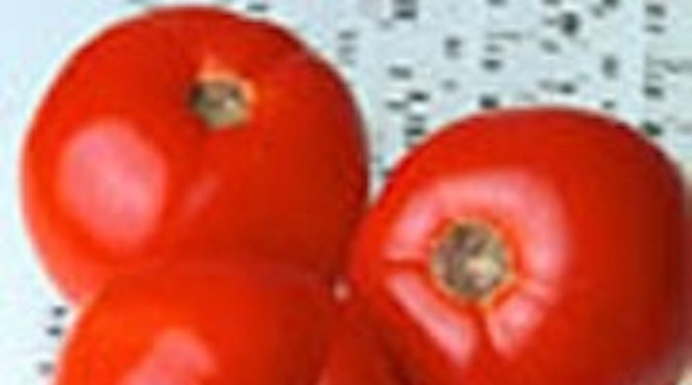 Refrigeratedtransporter 879 Tomatoes