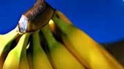 Refrigeratedtransporter 261 Bananas Refrigeratedtransporter 261 Bananas