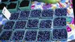 Refrigeratedtransporter 372 Blueberries Refrigeratedtransporter 372 Blueberries