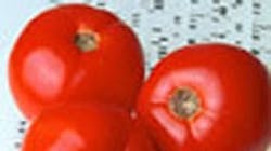 Refrigeratedtransporter 785 Tomatoes Refrigeratedtransporter 785 Tomatoes