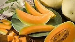 Refrigeratedtransporter 470 Cantaloupe Refrigeratedtransporter 470 Cantaloupe