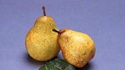 Refrigeratedtransporter 512 Pears Refrigeratedtransporter 512 Pears