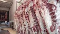 Refrigeratedtransporter 133 Cas Dataloggers Used Meat Locker Refrigeratedtransporter 133 Cas Dataloggers Used Meat Locker