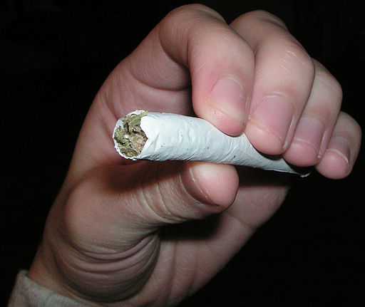 Fleetowner Com Sites Fleetowner com Files Uploads 2013 12 512px Spliff Joint Twig Dooby Jay