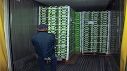Refrigeratedtransporter 1185 Avocado Global Fruit Pic Refrigeratedtransporter 1185 Avocado Global Fruit Pic