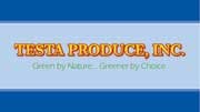 Refrigeratedtransporter Com Sites Refrigeratedtransporter com Files Uploads 2014 04 Testa Produce Logo Refrigeratedtransporter Com Sites Refrigeratedtransporter com Files Uploads 2014 04 Testa Produce Logo