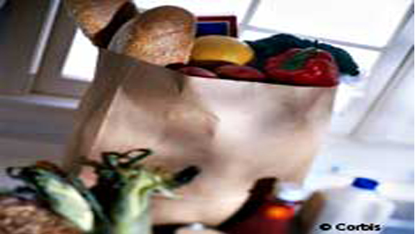 Refrigeratedtransporter 1244 Big Bag Groceries