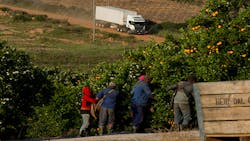 Refrigeratedtransporter 1251 Mci Transport Orange Plantation Refrigeratedtransporter 1251 Mci Transport Orange Plantation