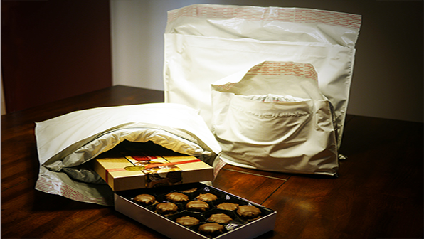 Refrigeratedtransporter 2233 Mp Global Thermal Liner