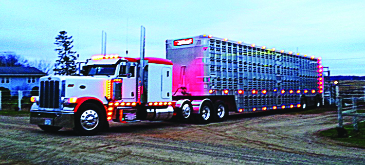Trucker 47 Jeremy Jansen Truck 2