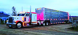 Trucker 47 Jeremy Jansen Truck 2 Trucker 47 Jeremy Jansen Truck 2