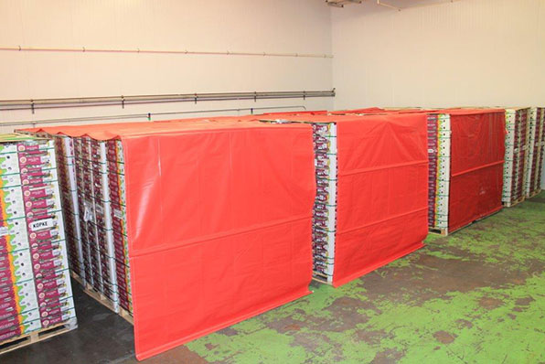 Refrigeratedtransporter 2194 Global Cooling Precooling Pic