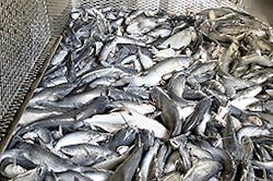 Refrigeratedtransporter Com Sites Refrigeratedtransporter com Files Uploads 2015 06 Heartland C Small Refrigeratedtransporter Com Sites Refrigeratedtransporter com Files Uploads 2015 06 Heartland C Small