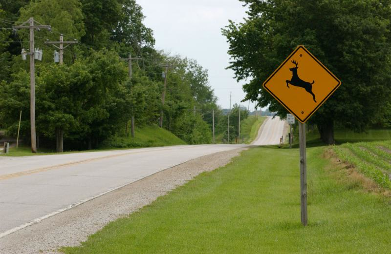 Fleetowner Com Sites Fleetowner com Files Uploads 2015 09 Deer3