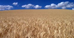 Fleetowner Com Sites Fleetowner com Files Uploads 2015 10 Waves Fleetowner Com Sites Fleetowner com Files Uploads 2015 10 Waves