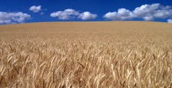 Fleetowner Com Sites Fleetowner com Files Uploads 2015 10 Waves Fleetowner Com Sites Fleetowner com Files Uploads 2015 10 Waves