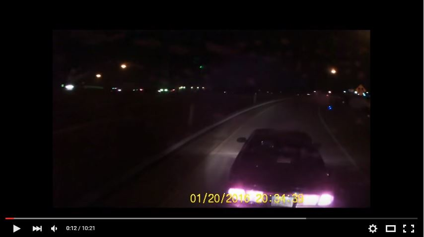 Trucker 463 Dcow Insane