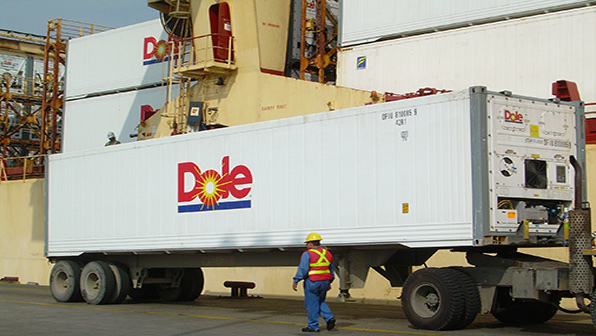 Refrigeratedtransporter 1655 Dole Truck Starcool Reefer Unit