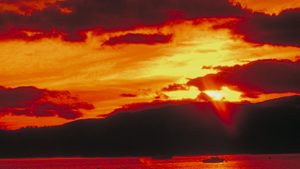 Refrigeratedtransporter 1659 Sunsetcrl400064