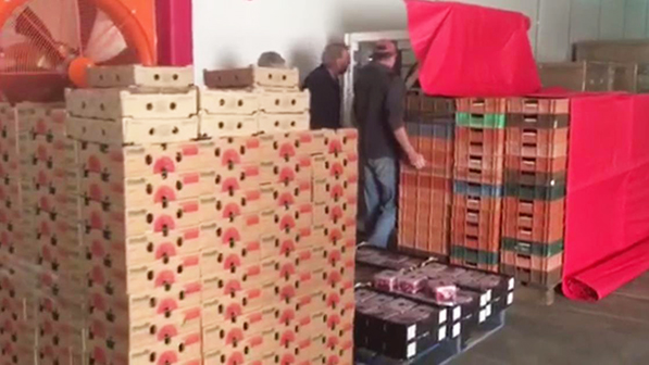 Refrigeratedtransporter 2144 Sunnyridge Big Photo