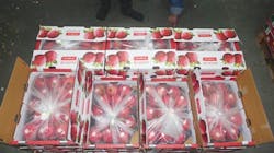 Refrigeratedtransporter 2123 Uflex Pic Refrigeratedtransporter 2123 Uflex Pic