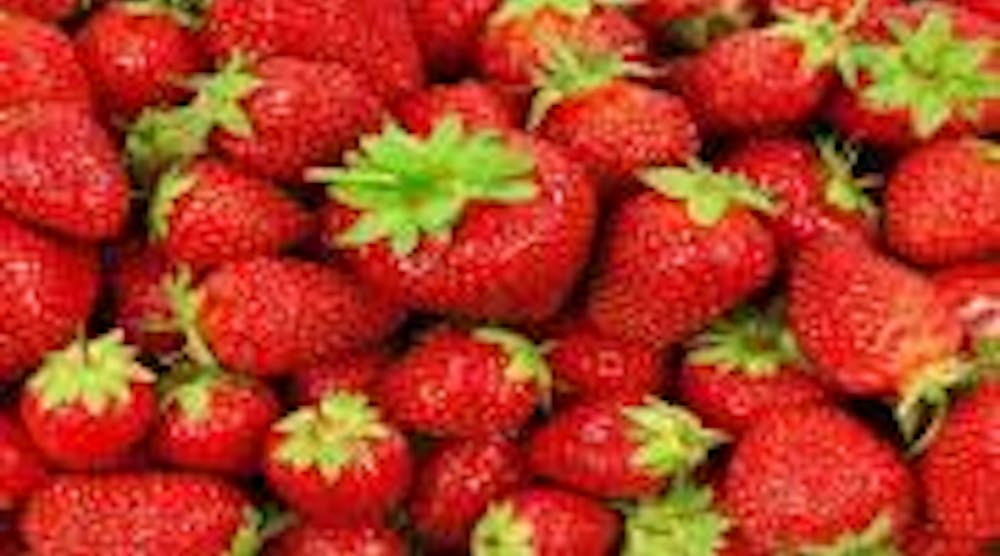 Refrigeratedtransporter Com Sites Refrigeratedtransporter com Files Uploads 2016 04 Strawberries 0