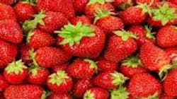 Refrigeratedtransporter Com Sites Refrigeratedtransporter com Files Uploads 2016 04 Strawberries 0 Refrigeratedtransporter Com Sites Refrigeratedtransporter com Files Uploads 2016 04 Strawberries 0
