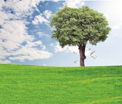 Trucker 6379 Moneytree Trucker 6379 Moneytree