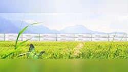 Refrigeratedtransporter 1788 Infinity Gets Smartway Pic Refrigeratedtransporter 1788 Infinity Gets Smartway Pic