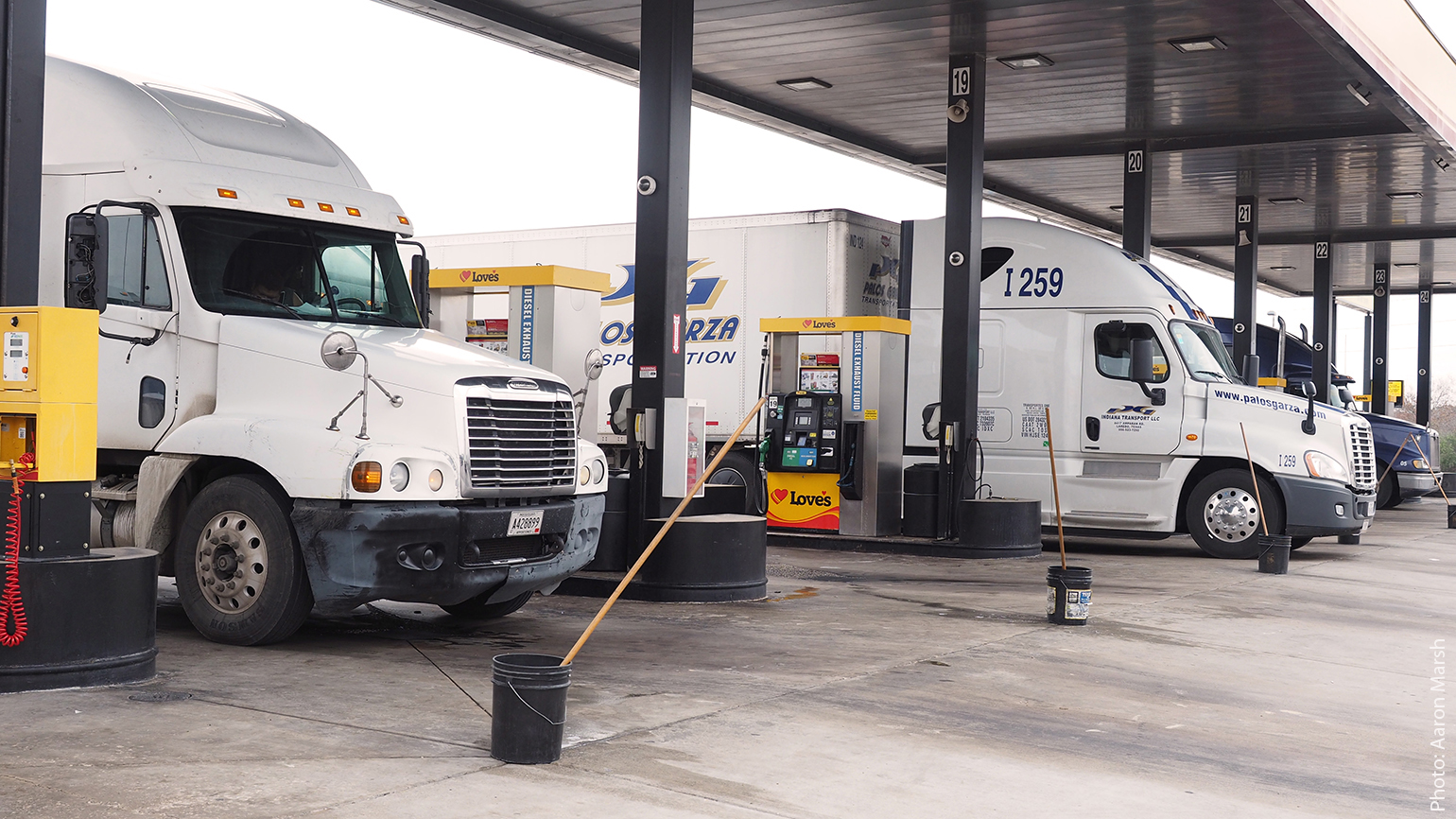 Trucker 1031 Lovetx1