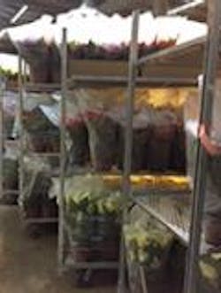 Refrigeratedtransporter Com Sites Refrigeratedtransporter com Files Uploads 2017 01 10 Poinsettias On Cart 0 Refrigeratedtransporter Com Sites Refrigeratedtransporter com Files Uploads 2017 01 10 Poinsettias On Cart 0