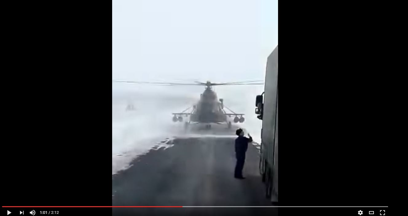 Trucker 1130 Dcow Chopper