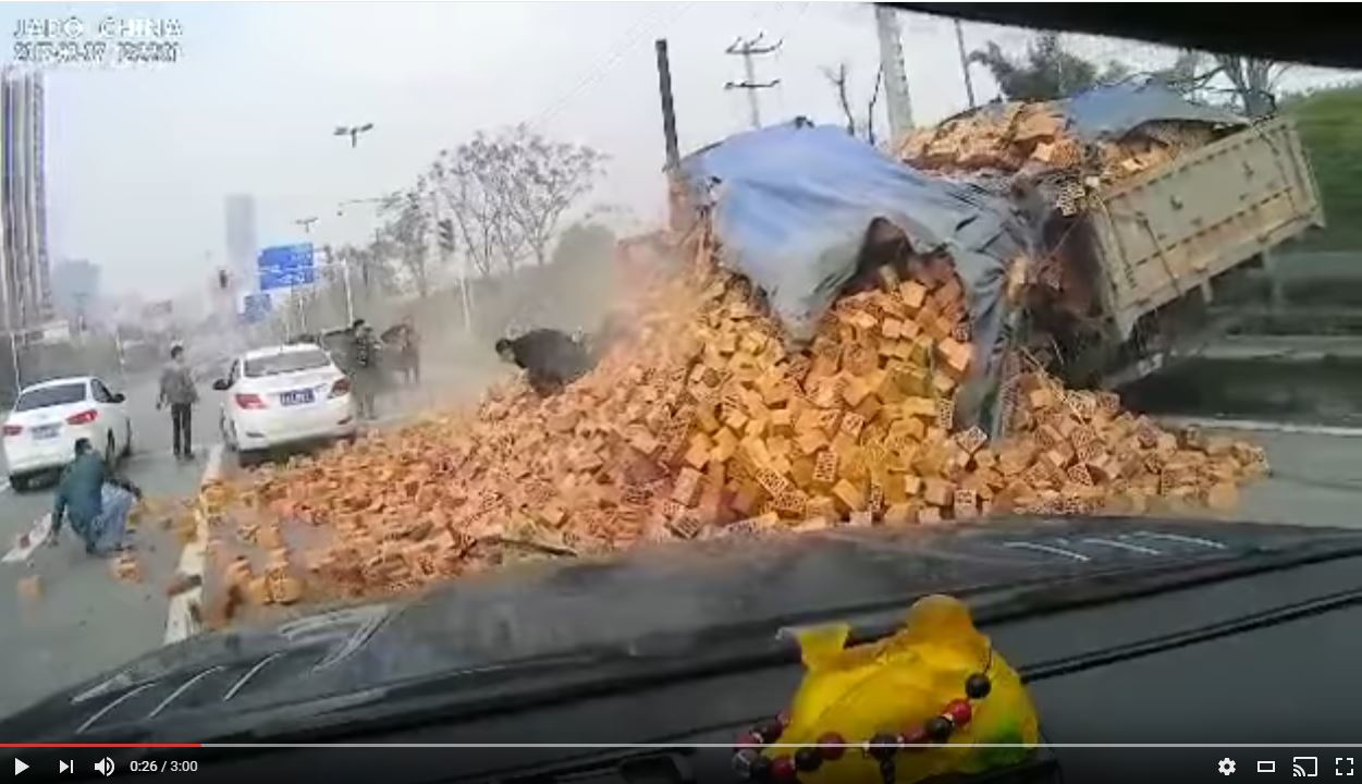 Trucker 1172 Dcow Bricks 2