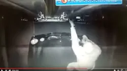 Trucker 1207 Dcow Thief
