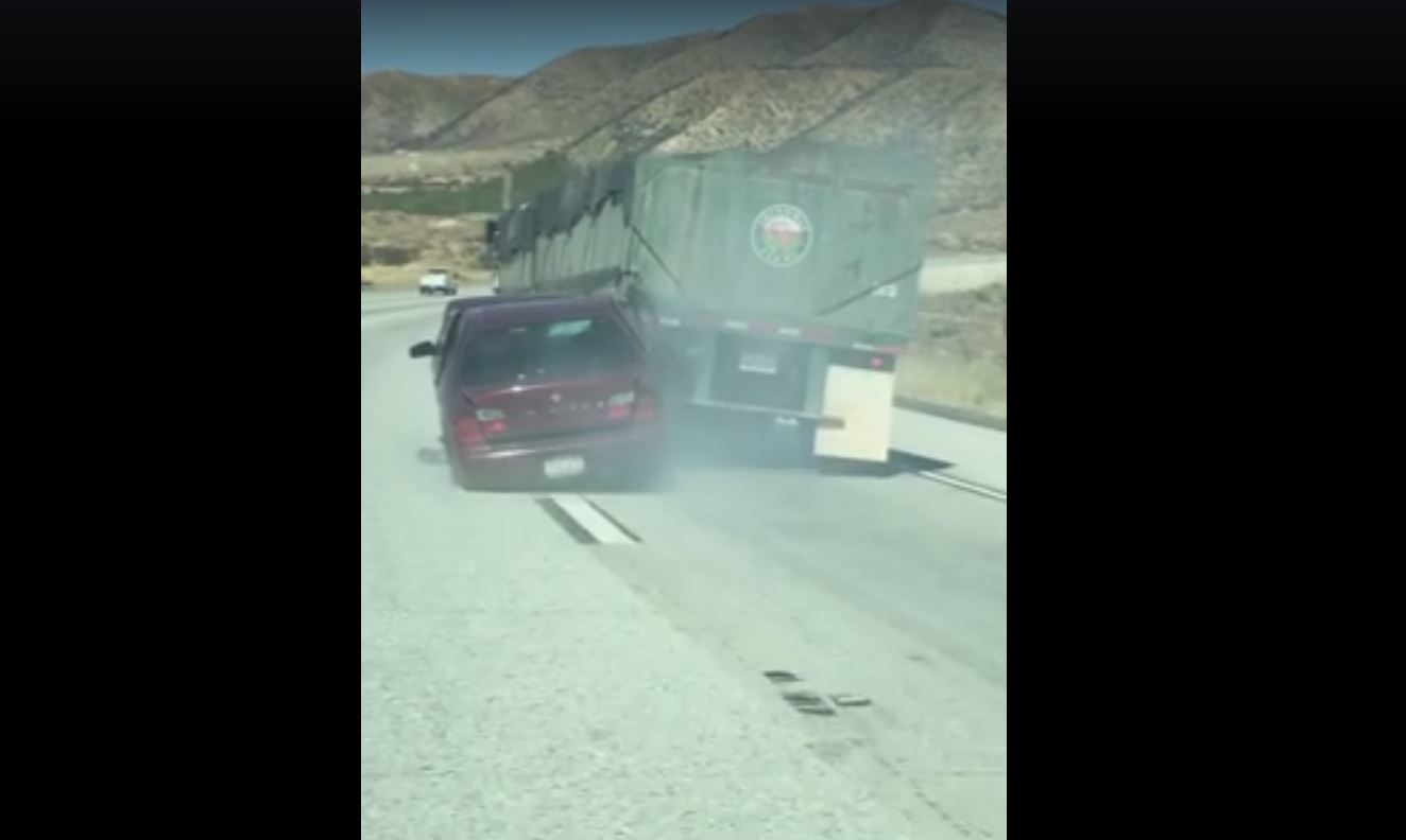 Trucker 1232 Dcow Drag