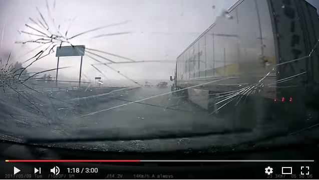Trucker 1279 Dcow Hail