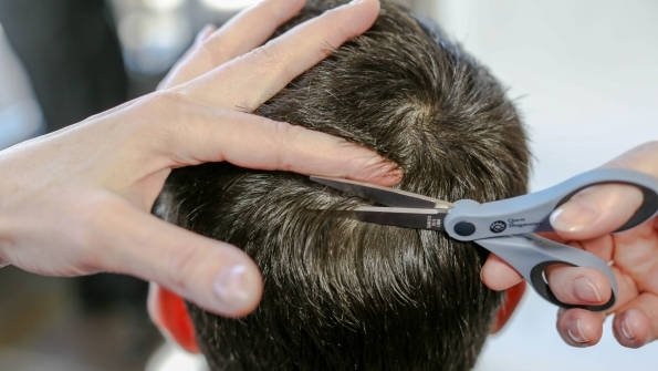 Trucker 1283 Hairtesting