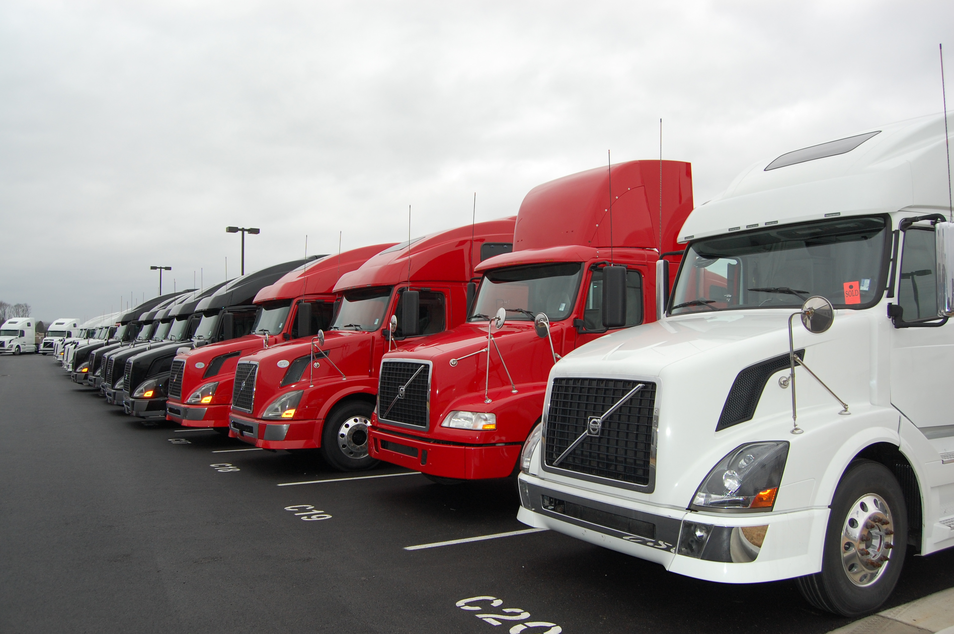 Trucker 1352 Dealer6