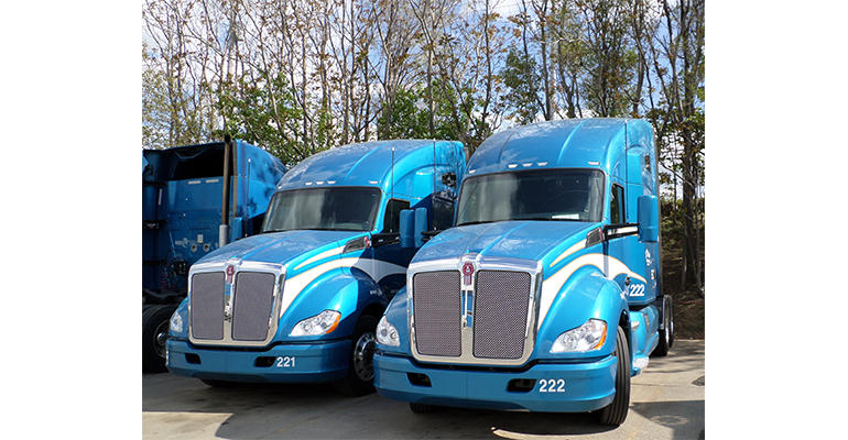 Refrigeratedtransporter 3027 Wn Morehouse Trucks