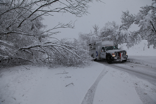 Trucker 6417 Snowtime18 0