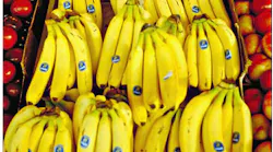 Refrigeratedtransporter 3111 Bananas Photo