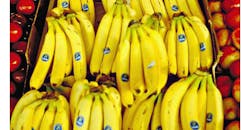 Refrigeratedtransporter 3111 Bananas Photo Refrigeratedtransporter 3111 Bananas Photo