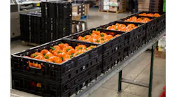 Refrigeratedtransporter 3118 Pure Flavor Uses Ifco Rpcs Photo