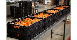 Refrigeratedtransporter 3118 Pure Flavor Uses Ifco Rpcs Photo Refrigeratedtransporter 3118 Pure Flavor Uses Ifco Rpcs Photo