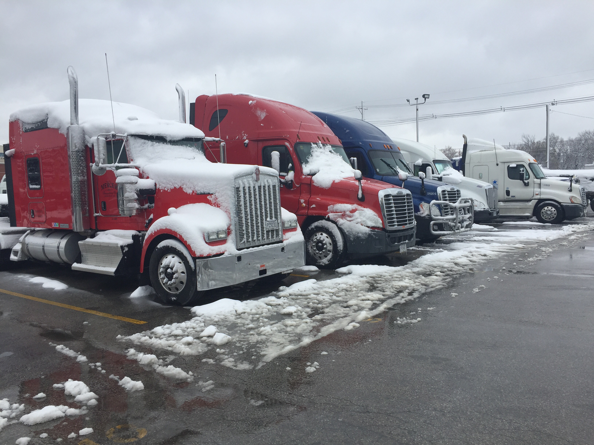 Trucker 7024 Mercer1