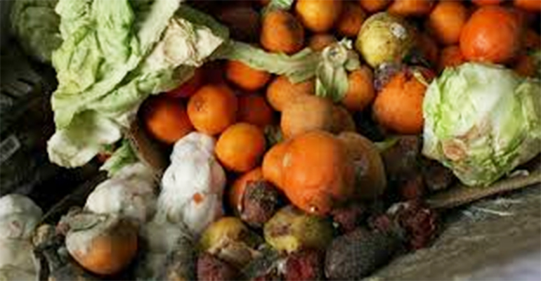 Refrigeratedtransporter 3309 Produce Imperfectly Shaped