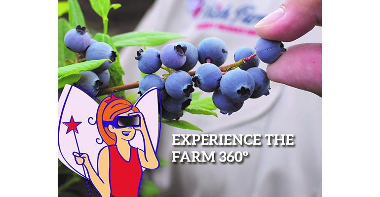 Refrigeratedtransporter 3400 Wish Farms Virtual Tour Illustration