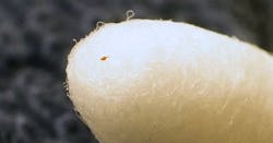 Www Fleetowner Com Sites Fleetowner com Files 101918 Swab Metal Sliver Close Agm 0 Www Fleetowner Com Sites Fleetowner com Files 101918 Swab Metal Sliver Close Agm 0