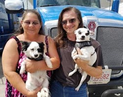 Www Fleetowner Com Sites Fleetowner com Files Angel Jody Dogs Close 0 Www Fleetowner Com Sites Fleetowner com Files Angel Jody Dogs Close 0