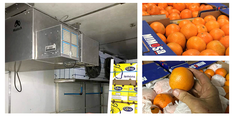 Refrigeratedtransporter 3581 Forrester Estate Photo